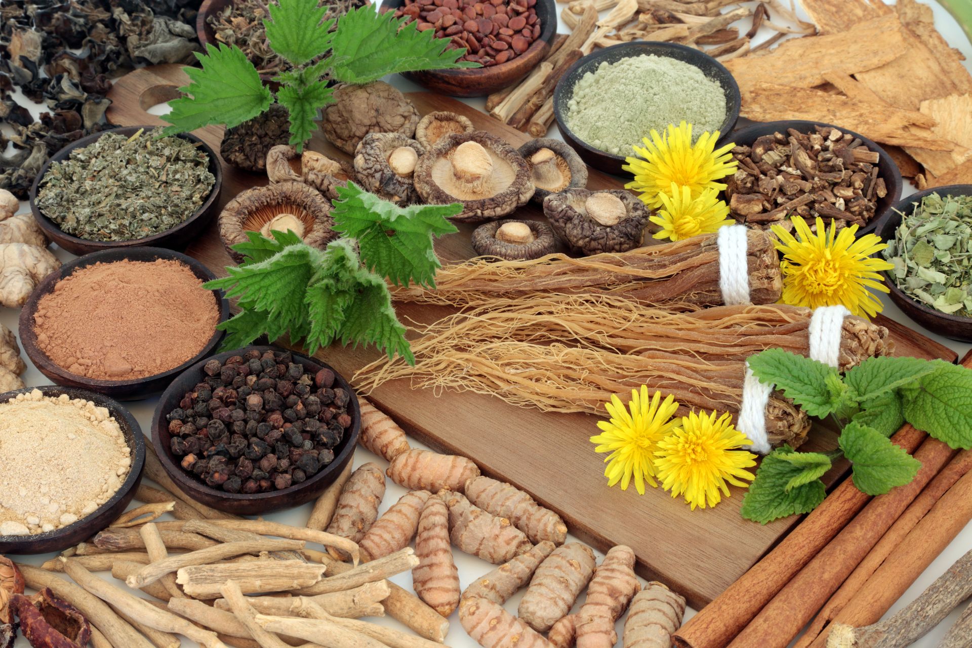 Adaptogens - what are they and what properties do they have?